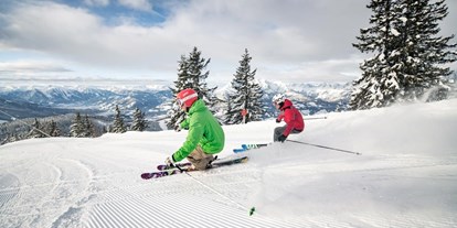 Hotels an der Piste - Skiverleih bei Talstation - Mandling - Skigebiet Werfenweng