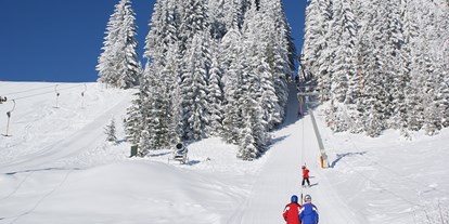 Hotels an der Piste - Preisniveau: € - Steiermark - Schneesicheres und gemütliches Skigebiet  in der Oststseiermark - Familienschiberg St. Jakob im Walde