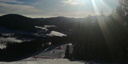 Hotels an der Piste - Après Ski im Skigebiet: Schirmbar - Steiermark - Familienschiberg St. Jakob im Walde