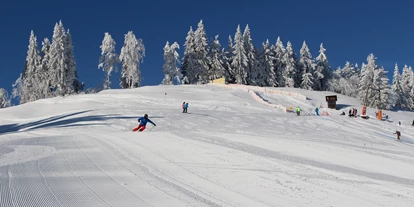 Hotels an der Piste - Après Ski im Skigebiet: Skihütten mit Après Ski - Balderschwang - www.boedele.info - Skigebiet Bödele