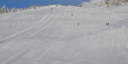 Hotels an der Piste - Après Ski im Skigebiet: Schirmbar - Laas (Flattach) - Skigebiet Emberger Alm