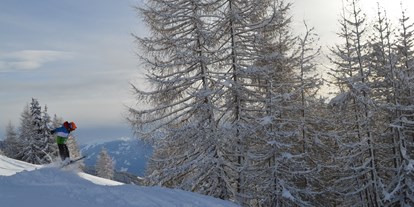 Hotels an der Piste - Rodelbahn - Grafenberg (Flattach) - Skigebiet Emberger Alm