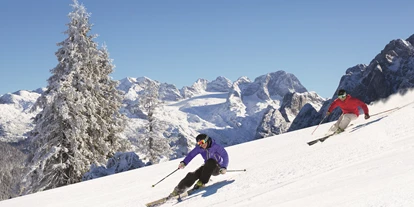 Hotels an der Piste - Preisniveau: €€€ - Plankau - Skifahren in Dachstein West  - Skiregion Dachstein West
