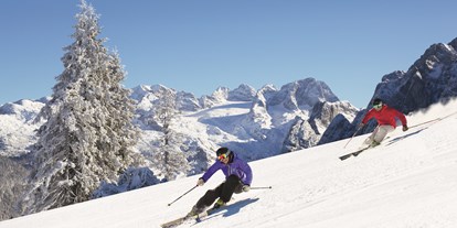 Hotels an der Piste - Preisniveau: €€€ - Ramsau (Bad Goisern am Hallstättersee) - Skifahren in Dachstein West  - Skiregion Dachstein West
