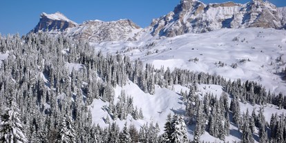 Hotels an der Piste - Welschnofen - Skigebiet Alta Badia