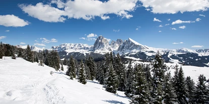 Hotels an der Piste - Preisniveau: €€€€ - Italien - Skigebiet Dolomites Val Gardena/Gröden - St. Christina - St. Ulrich - Wolkenstein