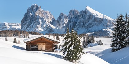 Hotels an der Piste - Rodelbahn - Südtirol - Skigebiet Seiser Alm