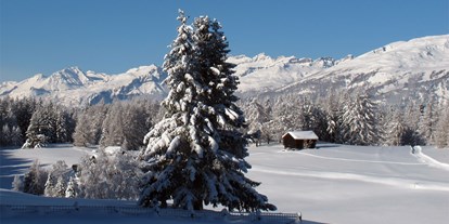 Hotels an der Piste - Après Ski im Skigebiet: Skihütten mit Après Ski - Wallis - Skigebiet Bürchen-Törbel / Moosalp
