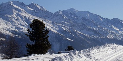 Hotels an der Piste - Après Ski im Skigebiet: Skihütten mit Après Ski - Bürchen - Skigebiet Bürchen-Törbel / Moosalp