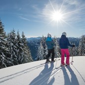 Skihotel - Skigebiet Pizol - Bad Ragaz - Wangs