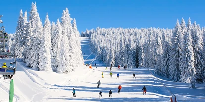 Hotels an der Piste - Après Ski im Skigebiet: Schirmbar - Riefensberg - Skigebiet Balderschwang