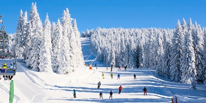Hotels an der Piste - Rodelbahn - Faschina - Skigebiet Balderschwang