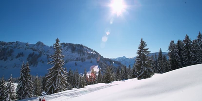 Hotels an der Piste - Après Ski im Skigebiet: Schirmbar - Riefensberg - Skigebiet Balderschwang