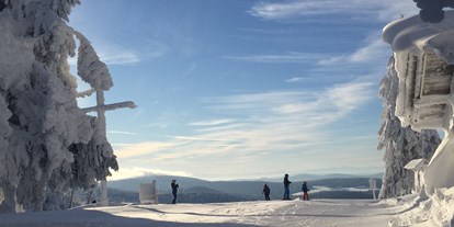 Hotels an der Piste - Après Ski im Skigebiet: Skihütten mit Après Ski - Bayerischer Wald - Verschneiter Almberg mit tollem Ausblick - Skigebiet Mitterdorf