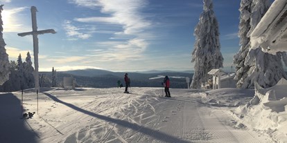 Hotels an der Piste - Après Ski im Skigebiet: Skihütten mit Après Ski - Bayerischer Wald - Almberg mit tollem Ausblick - Skigebiet Mitterdorf