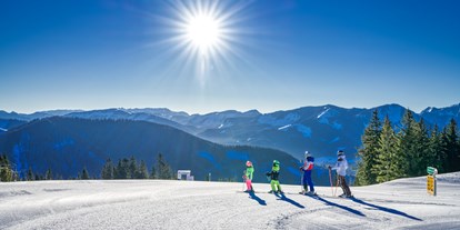 Hotels an der Piste - Après Ski im Skigebiet: Skihütten mit Après Ski - Steiermark - Hofstattabfahrt - Skigebiet Mariazeller Bürgeralpe