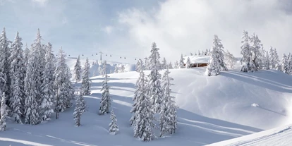 Hotels an der Piste - Skiservice: Wachsservice - Going am Wilden Kaiser - Winter im Skicircus Saalbach Hinterglemm Leogang Fieberbrunn - Ski & Bike Hotel Wiesenegg