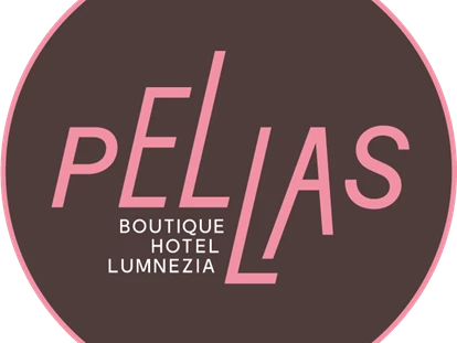 Hotels an der Piste - Parkplatz: kostenlos beim Hotel - Uors (Lumnezia) - Boutique Hotel Pellas