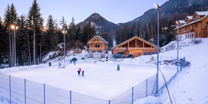 Hotels an der Piste - Ski-In Ski-Out - Unterburg (Stainach-Pürgg) - Eislaufen am Naturplatz - Narzissendorf Zloam