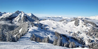 Hotels an der Piste - Sauna - Flachau - Skigebiet Snow Space Salzburg - Hotel Berghof | St. Johann in Salzburg