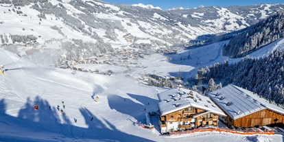 Hotels an der Piste - Parkplatz: kostenlos beim Hotel - Ski-In & Ski-Out  - Ferienwohnungen Perfeldhof