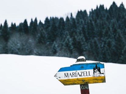 Hotels an der Piste - Ski-In Ski-Out - Grünau (Mariazell) - Hideaway Hotel**** Montestyria Chalets & Suiten
