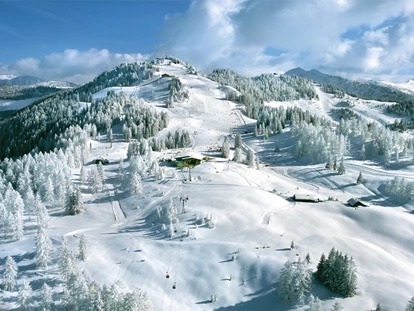 Hotels an der Piste - Ski-In Ski-Out - Enkerbichl - Gernkogel - Skigebiet - Alpina Alpendorf