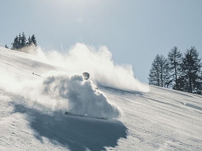 Hotels an der Piste - Skiraum: videoüberwacht - Klammstein - Alpina Alpendorf