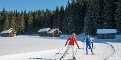 Hotels an der Piste - Verpflegung: Frühstück - AlpenParks Aktiv & Natur Resort Hagan Lodge Altaussee