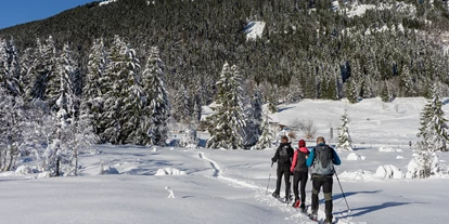 Hotels an der Piste - Hotel-Schwerpunkt: Skifahren & Wellness - Rauth (Nesselwängle) - BergBuddies