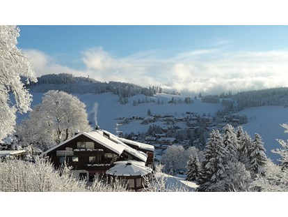 Hotels an der Piste - Hotel-Schwerpunkt: Skifahren & Ruhe - Panorama Lodge Sonnenalm Hochschwarzwald