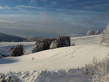 Hotels an der Piste - Hotel-Schwerpunkt: Skifahren & Ruhe - Blick Richtung Alpen mit dem Bucklift im Vordergrund  - Panorama Lodge Sonnenalm Hochschwarzwald