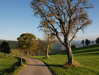 Hotels an der Piste - Langlaufloipe - Blick vom Horn Richtung Hasenhorn und Alpen - Panorama Lodge Sonnenalm Hochschwarzwald