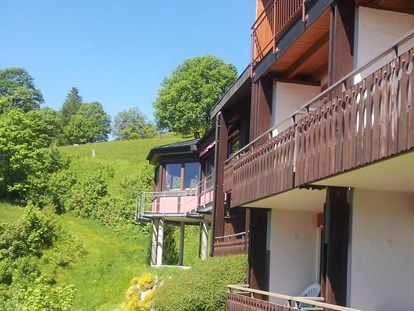 Hotels an der Piste - Hotel-Schwerpunkt: Skifahren & Ruhe - Vorderseite (Südseite) Panorama Lodge Sonnenalm mit Blick zum Horn - Panorama Lodge Sonnenalm Hochschwarzwald