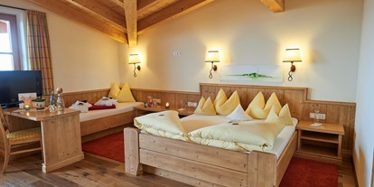 Hotels an der Piste - geführte Skitouren - Emberg (Kaltenbach) - Platzlalm