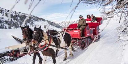 Hotels an der Piste - Ski-In Ski-Out - Illwitzen - Pferdeschlittenfahrt Winter - Basekamp Mountain Budget Hotel