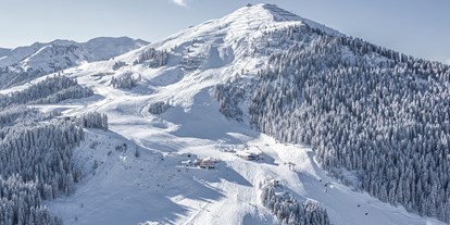 Hotels an der Piste - Hotel-Schwerpunkt: Skifahren & Wellness - PLZ 6395 (Österreich) - Der Gollinger