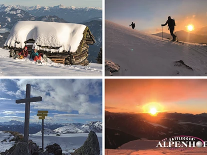 Hotels an der Piste - Skiservice: Wachsservice - Gappen (Reißeck) - Ein Traum für Tourenski-Liebhaber  - Sattleggers Alpenhof & Feriensternwarte 