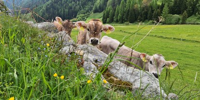 Hotels an der Piste - Tiroler Oberland - Der Sommer lässt grüßen :-)  - Hotel Persura