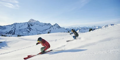 Hotels an der Piste - Ski-In Ski-Out - Dünserberg - Skifahren 
Hotel - Garni Alpina
Ferienwohungen und Zimmer - Hotel Garni Alpina
