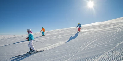 Hotels an der Piste - Hotel-Schwerpunkt: Skifahren & Romantik - Nußdorf (Spittal an der Drau) - Skifahren in Bad Kleinkirchheim - Trattlers Hof-Chalets