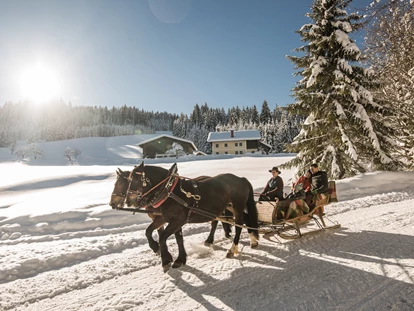 Hotels an der Piste - Hotel-Schwerpunkt: Skifahren & Tourengehen - March (Goldegg) - romantische Pferdeschlittenfahrt - Familienhotel Botenwirt ***S