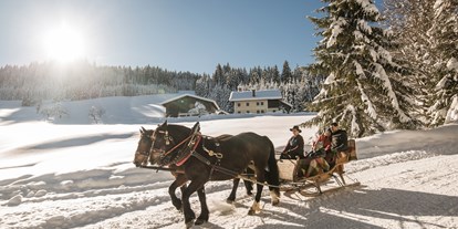 Hotels an der Piste - Verpflegung: All-inclusive - PLZ 5611 (Österreich) - romantische Pferdeschlittenfahrt - Familienhotel Botenwirt ***S