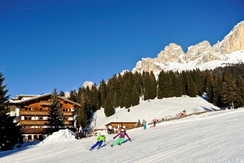 Skihotel: Ski in Ski out - Hotel Moseralm