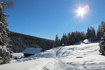 Skihotel: Winterwandern - Wohlfühlhotel Falzeben