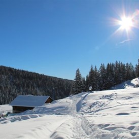 Skihotel: Winterwandern - Wohlfühlhotel Falzeben