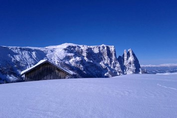 Skihotel: Dolomiten - Alpenhotel Panorama
