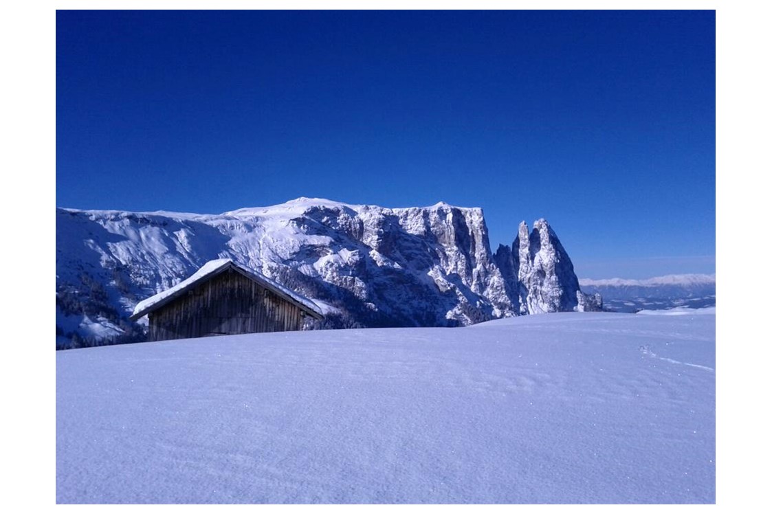 Skihotel: Dolomiten - Alpenhotel Panorama