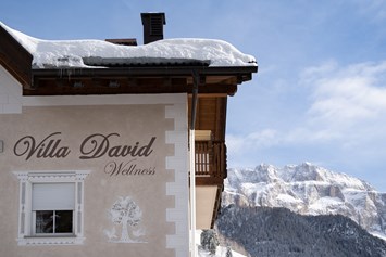 Skihotel: Villa David Dolomites