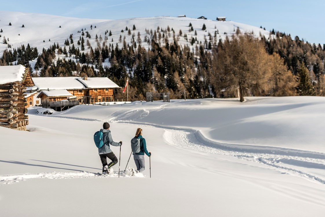 Skihotel: Schneeschuhwanderung - Alpin Hotel Masl